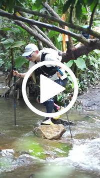 BIB:  <button type="button" onclick="openModal(27808192)" class="btn btn-primary btn-sm float-right" data-toggle="modal" data-target=".modal-high-quality">
                <i class="fa fa-download"></i> Download
                </button>